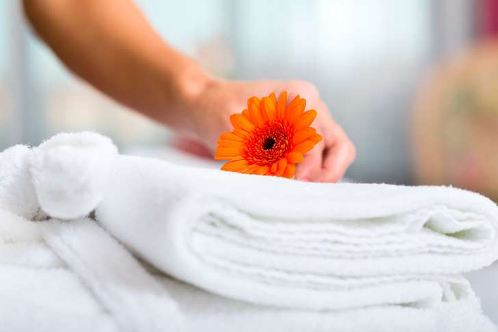daily house service 4