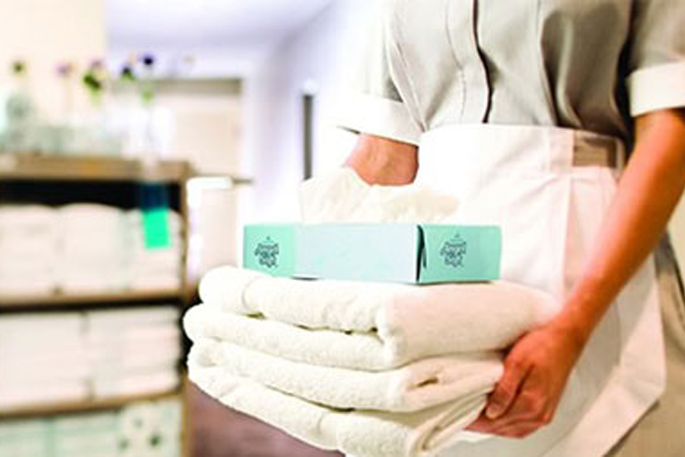 daily house service